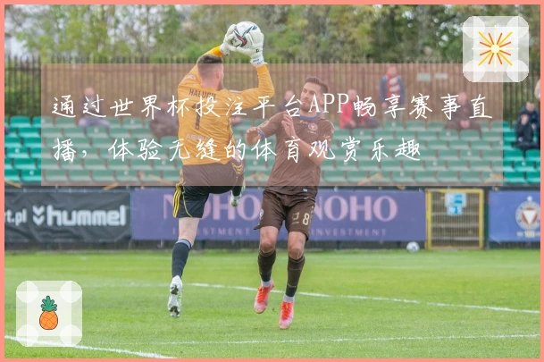 通过世界杯投注平台APP畅享赛事直播，体验无缝的体育观赏乐趣