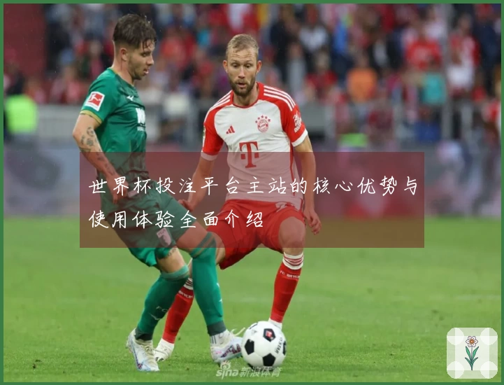 世界杯投注平台主站的核心优势与使用体验全面介绍