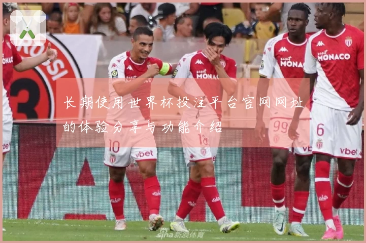长期使用世界杯投注平台官网网址的体验分享与功能介绍