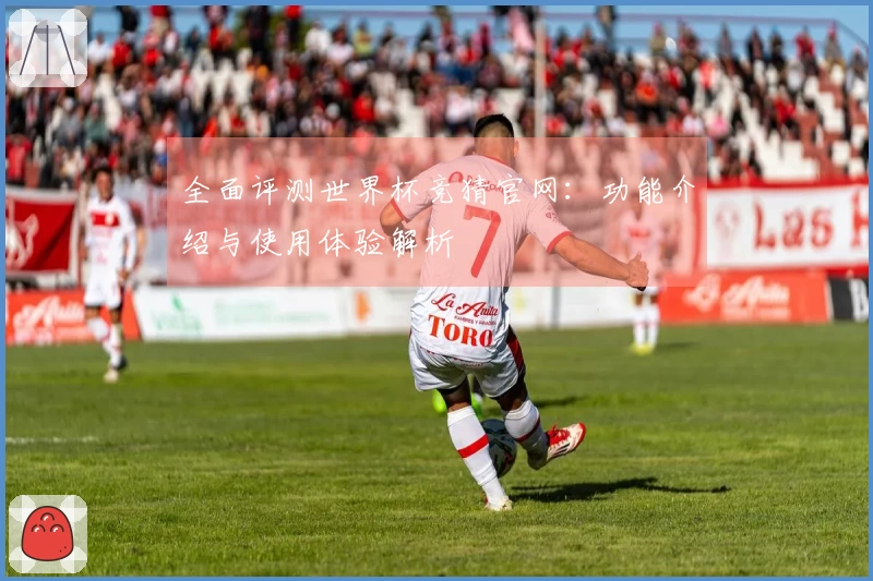 全面评测世界杯竞猜官网：功能介绍与使用体验解析