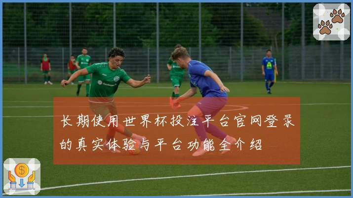 长期使用世界杯投注平台官网登录的真实体验与平台功能全介绍